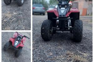 mini quad a benzina