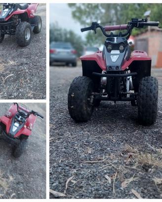 mini quad a benzina