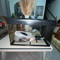 Acquario 60 lt completo