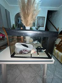 Acquario 60 lt completo