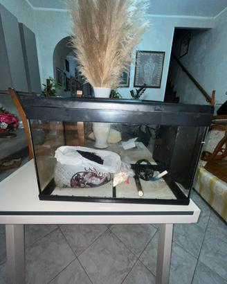 Acquario 60 lt completo