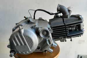 Motore pitbike zs 190