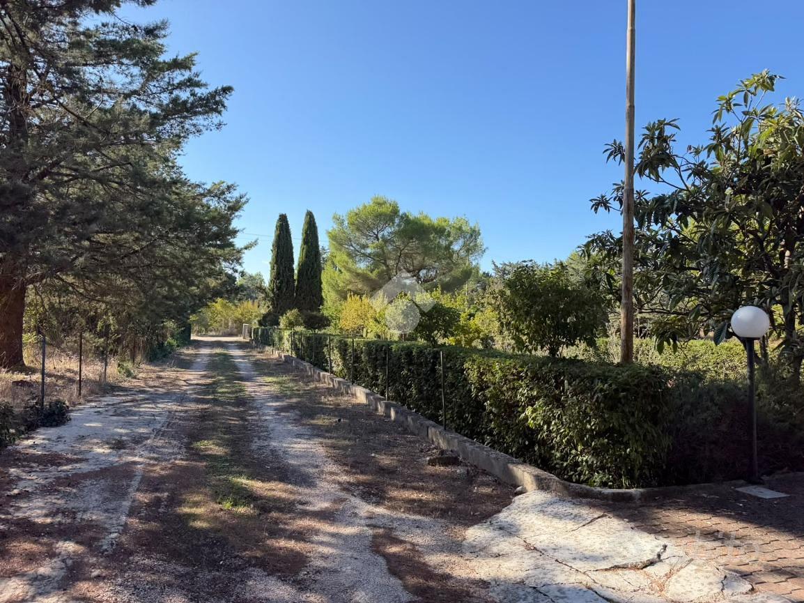 Casa – Altamura, Bari - Vista 3