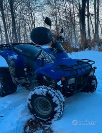 Quad polaris trail boss 330