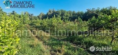 2 lotti di terreno a marina di cottone fiumefreddo