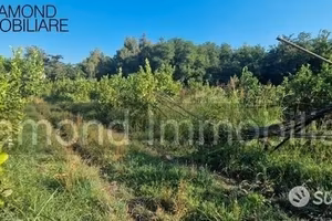 2 lotti di terreno a marina di cottone fiumefreddo