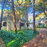 Bungalow vicino al mare
