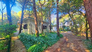 Bungalow vicino al mare