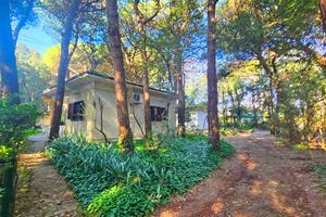 Bungalow vicino al mare