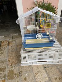 Gabbia Uccelli Canarini con Accessori