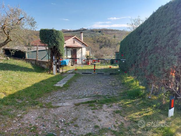 Terreno agricolo Loc. Bandite San Quirico d'Orcia