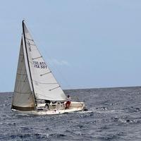 J80 monotipo