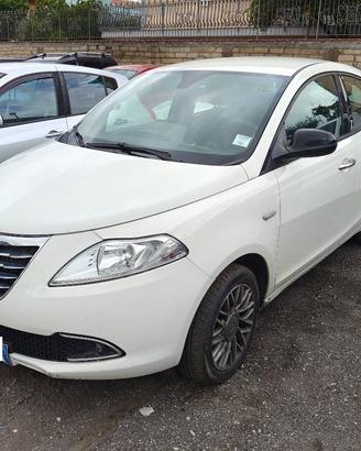 Lancia Ypsilon 5 Porte Ypsilon 1.3 mjt Gold s&s 95