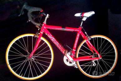 BICICLETTA VICINI GIOVANISSIMI cat g1 g2 g3 24