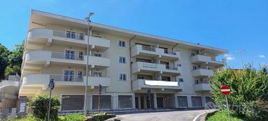 Negozio Velletri [VE2020C1BVCG]