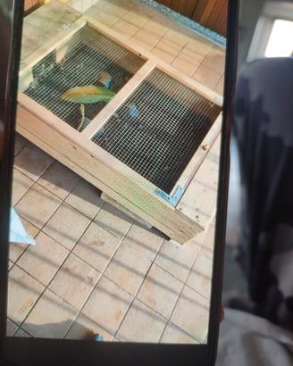 cassetta x  piccole tartarughe  o altri animaletti