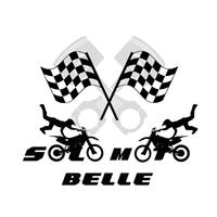 SCOCCA FIANCHETTO DX SX PIAGGIO BEVERLY 300 HPE 20