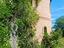 Immagine 8