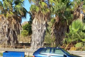 citroen saxo con gancio e carrellino