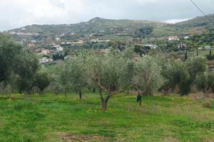 Terreno agricolo ad Agropoli