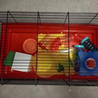 gabbietta criceto completa