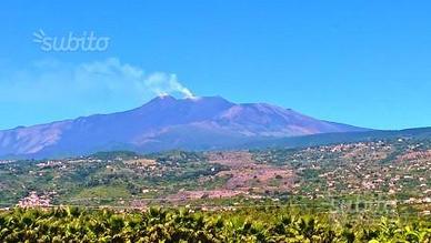Tenuta di 11 ettari con Caseggiati Pozzo e Vista