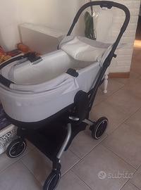 Navicella cybex  COT-S