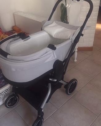 Navicella cybex  COT-S