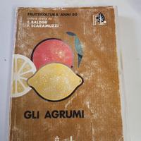 Manuale Gli agrumi
