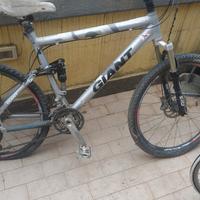bicicletta Giant