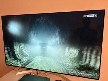 TV OLED LG 55 pollici