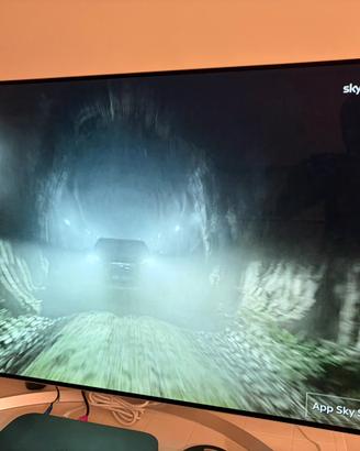 TV OLED LG 55 pollici