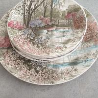 set piatti vintage Johnson Bros 