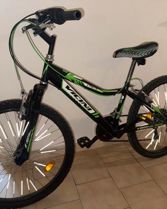 Bicicletta bambino 12/14 anni