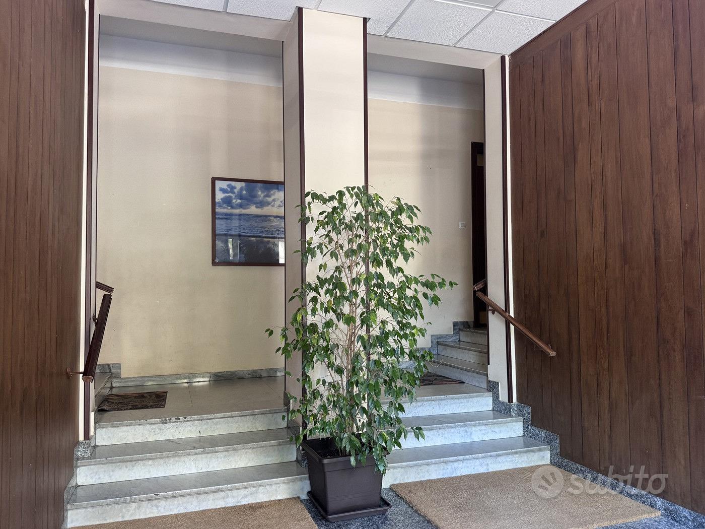 Appartamento – Bari, Carrassi - Vista 3
