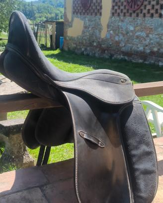 Sella equitazione 