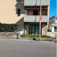 RGE 88/2022 Trib Urbino