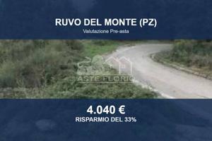Immobile in asta di 15089 m² a Ruvo del Monte