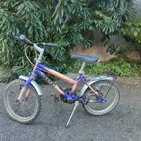 Bicicletta Silver Star