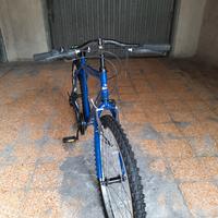 Bicicletta mountain bike
