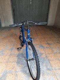 Bicicletta mountain bike