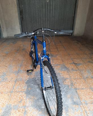 Bicicletta mountain bike