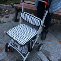 Carrellino per appoggio