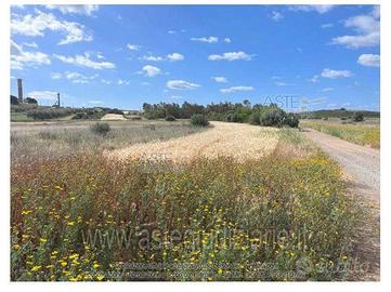 Terreno Agricolo Sestu [A4323051]