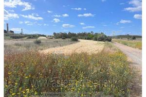 Terreno Agricolo Sestu [A4323051]