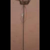 Palo metallo portapiante portabottiglie giardino