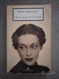 Che tu sia per me il coltello (romanzo)