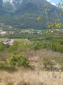 Terreno agricolo/frutteto/vigneto
