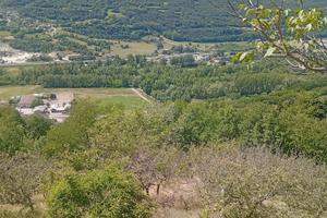 Terreno agricolo/frutteto/vigneto