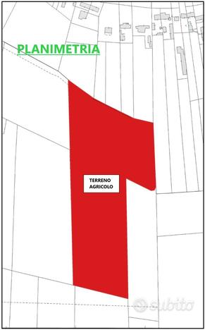 CAVARZERE: 102E: Terreno agricolo